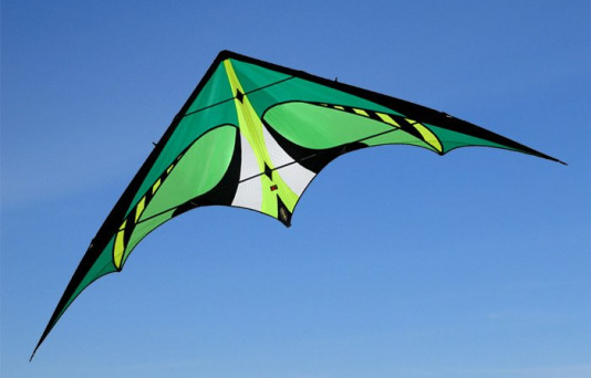 Photo of our product(delta kites)