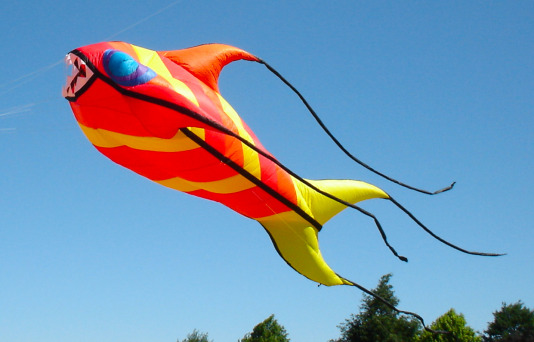 Photo of our product(single line kites)